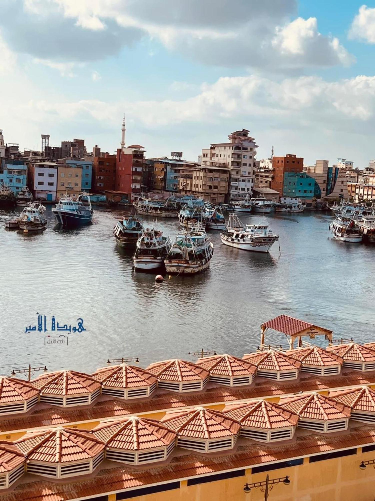 Omar Elkhaiam Hotel Ras el-Barr エクステリア 写真